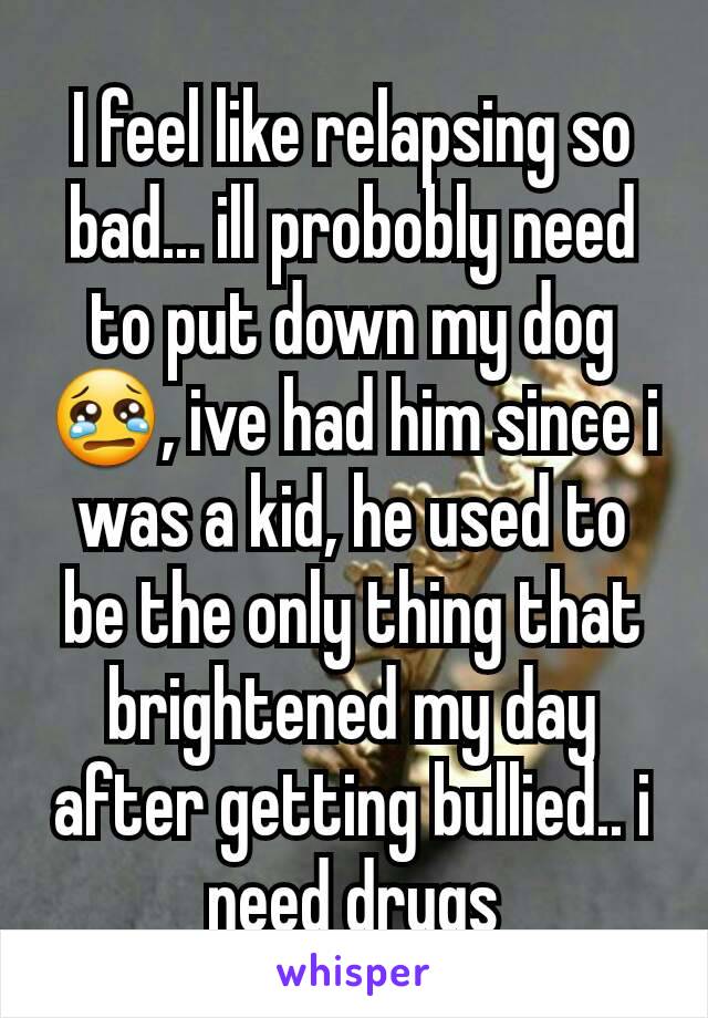 I feel like relapsing so bad... ill probobly need to put down my dog 😢, ive had him since i was a kid, he used to be the only thing that brightened my day after getting bullied.. i need drugs