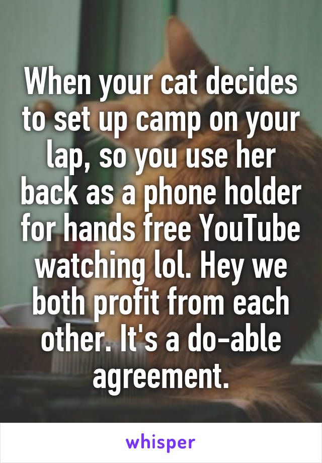 When your cat decides to set up camp on your lap, so you use her back as a phone holder for hands free YouTube watching lol. Hey we both profit from each other. It's a do-able agreement.