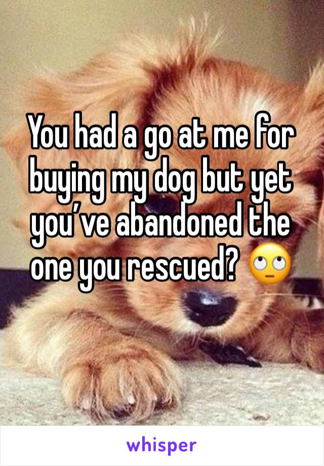You had a go at me for buying my dog but yet you’ve abandoned the one you rescued? 🙄