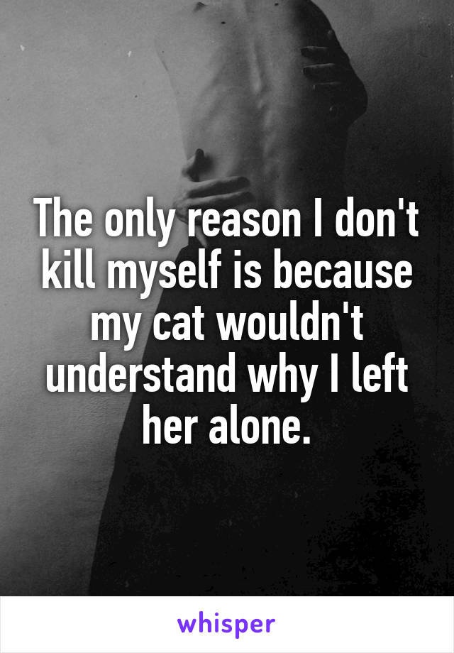 The only reason I don't kill myself is because my cat wouldn't understand why I left her alone.