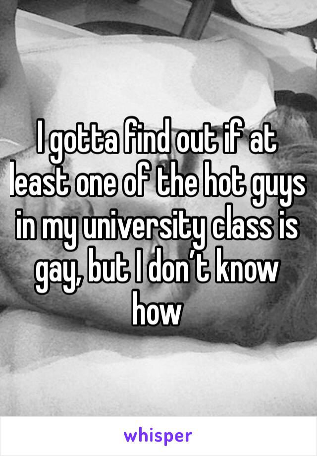 I gotta find out if at least one of the hot guys in my university class is gay, but I don’t know how 