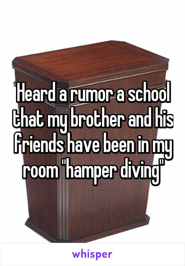Heard a rumor a school that my brother and his friends have been in my room "hamper diving"