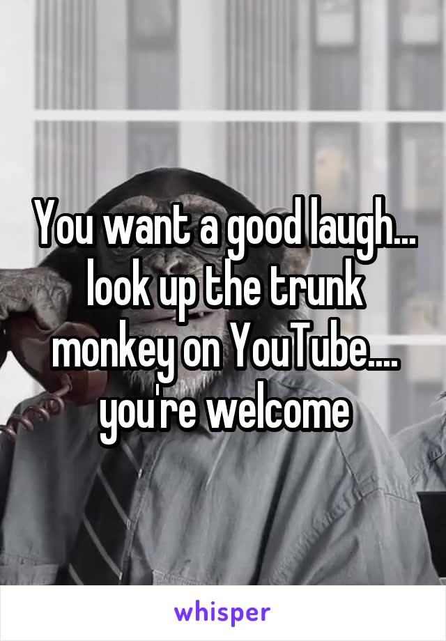You want a good laugh... look up the trunk monkey on YouTube.... you're welcome