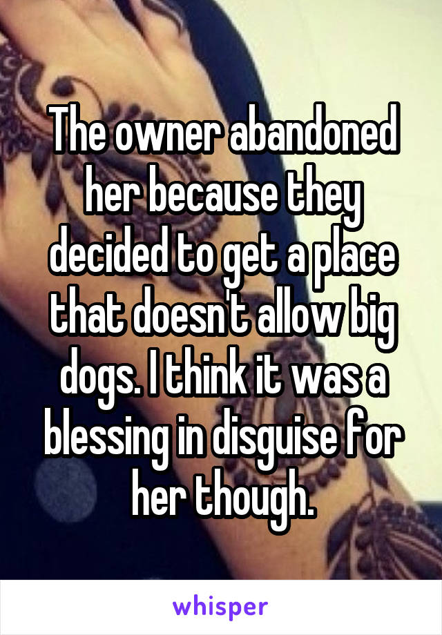 The owner abandoned her because they decided to get a place that doesn't allow big dogs. I think it was a blessing in disguise for her though.