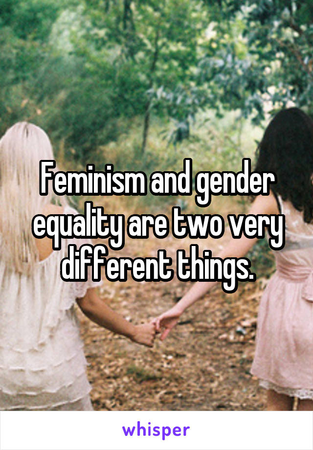 Feminism and gender equality are two very different things.