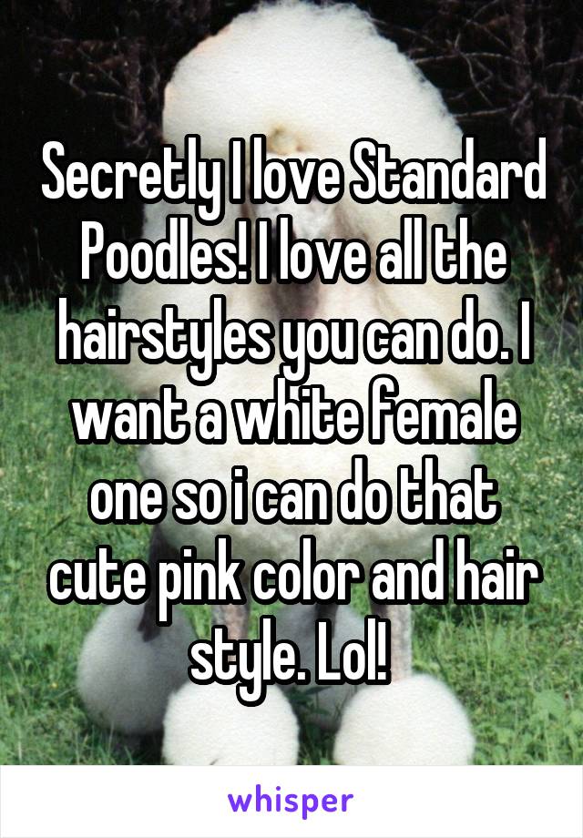 Secretly I love Standard Poodles! I love all the hairstyles you can do. I want a white female one so i can do that cute pink color and hair style. Lol! 