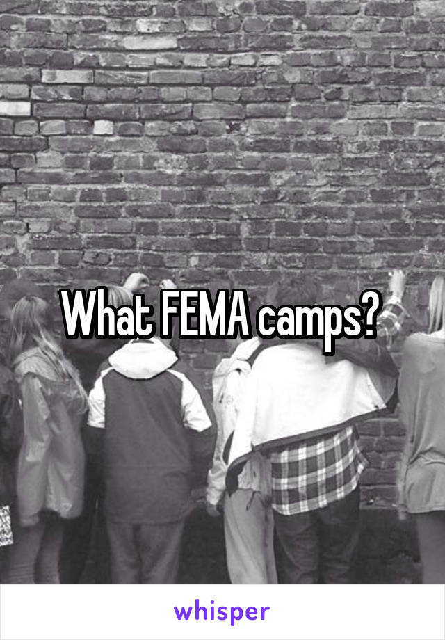 What FEMA camps? 