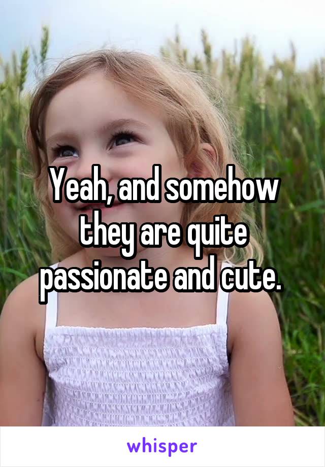 Yeah, and somehow they are quite passionate and cute. 