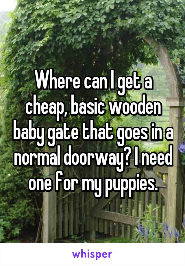 Where can I get a cheap, basic wooden baby gate that goes in a normal doorway? I need one for my puppies.