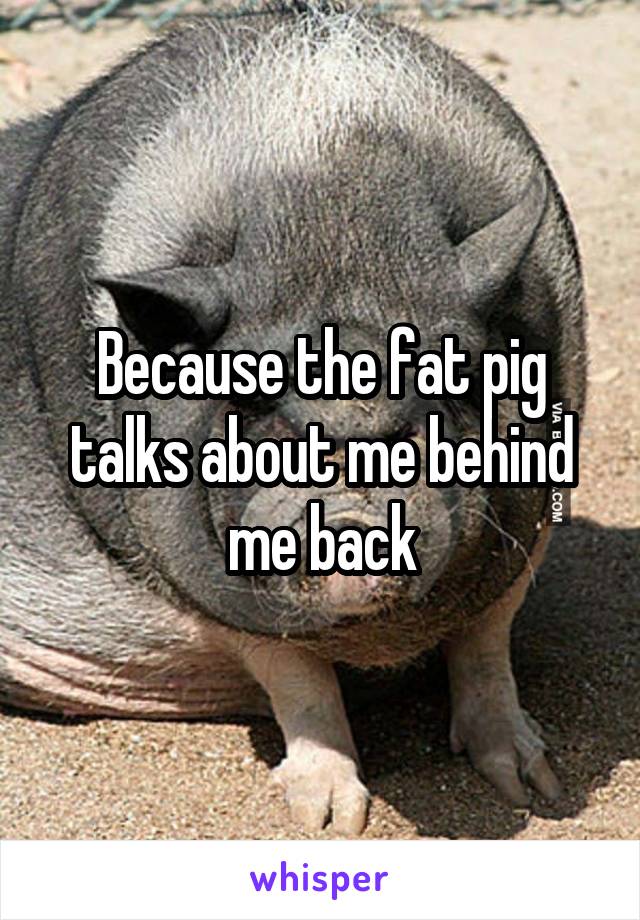 Because the fat pig talks about me behind me back