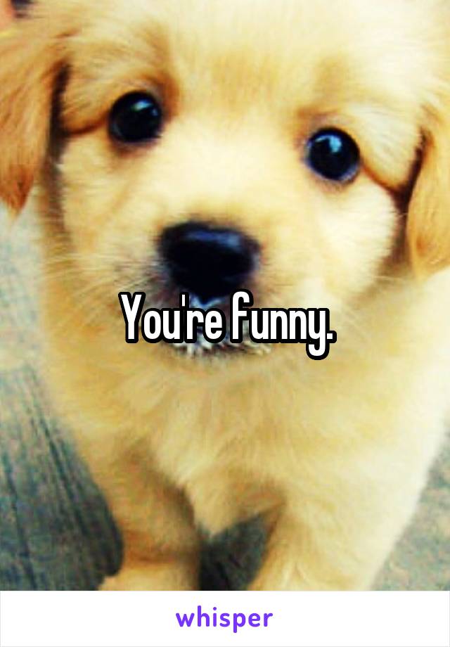 You're funny.