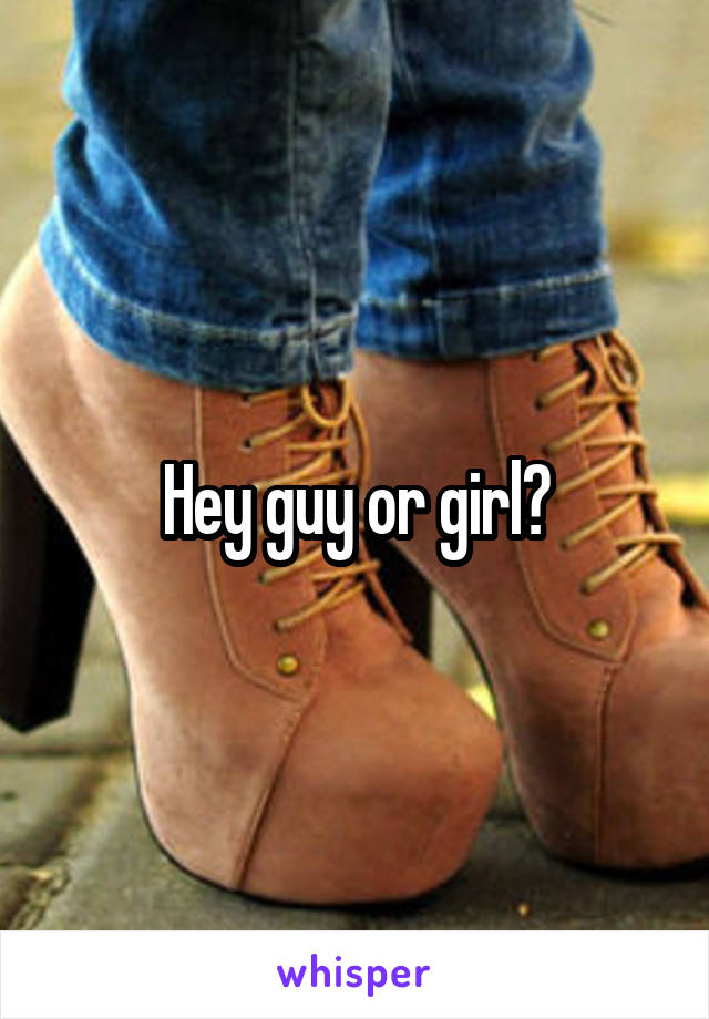Hey guy or girl?