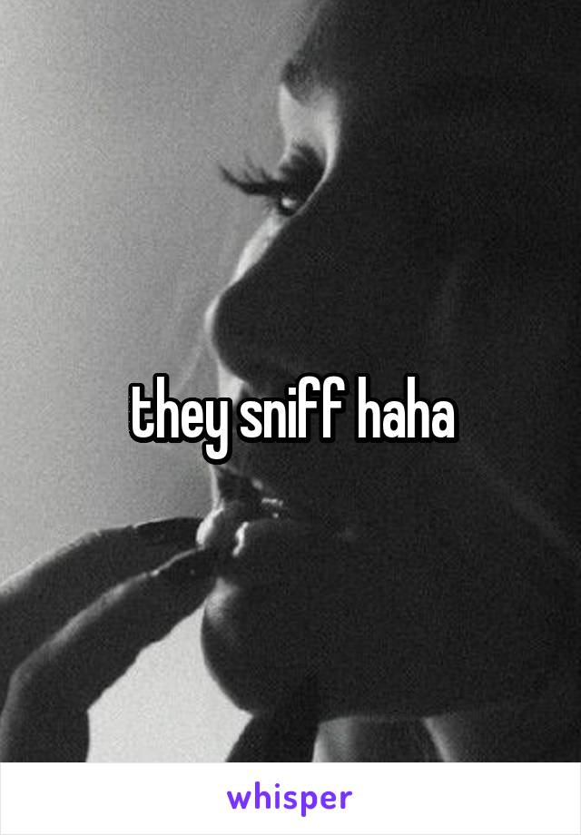 they sniff haha