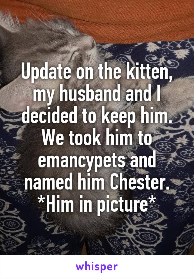 Update on the kitten, my husband and I decided to keep him. We took him to emancypets and named him Chester. *Him in picture*