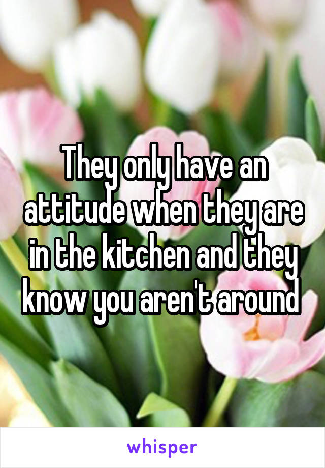 They only have an attitude when they are in the kitchen and they know you aren't around 