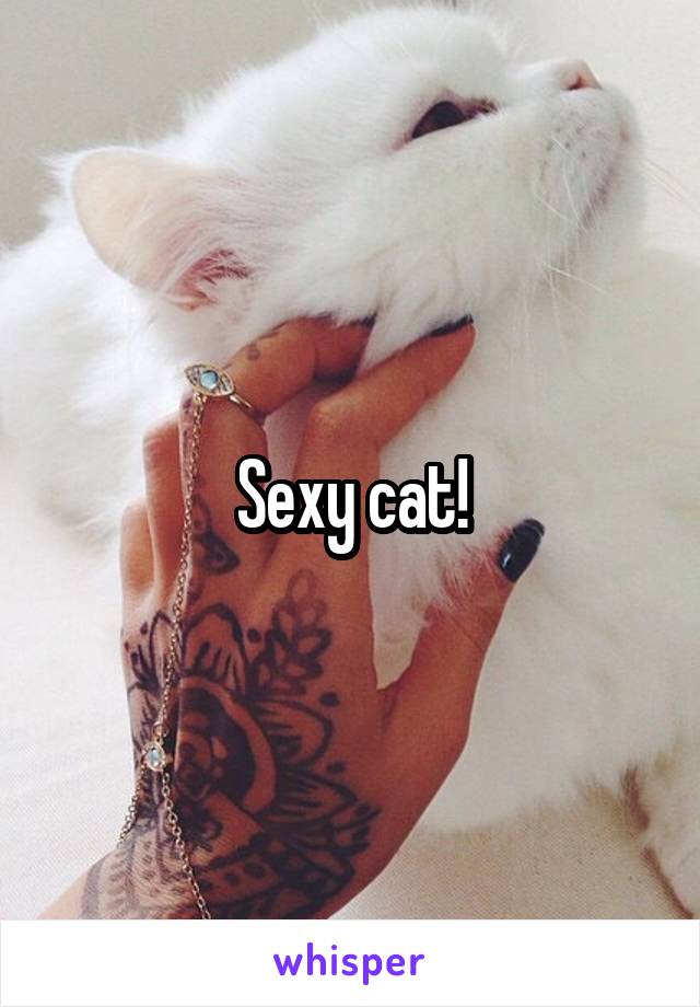 Sexy cat!