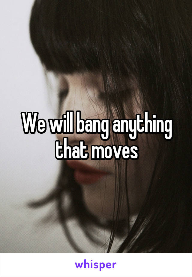 We will bang anything that moves