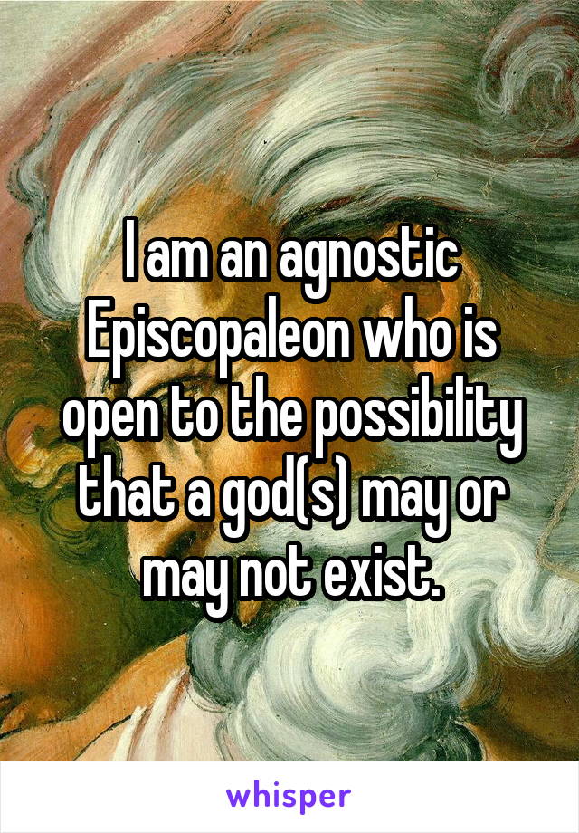 I am an agnostic Episcopaleon who is open to the possibility that a god(s) may or may not exist.