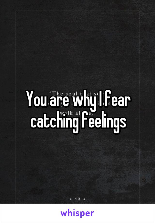 You are why I fear catching feelings