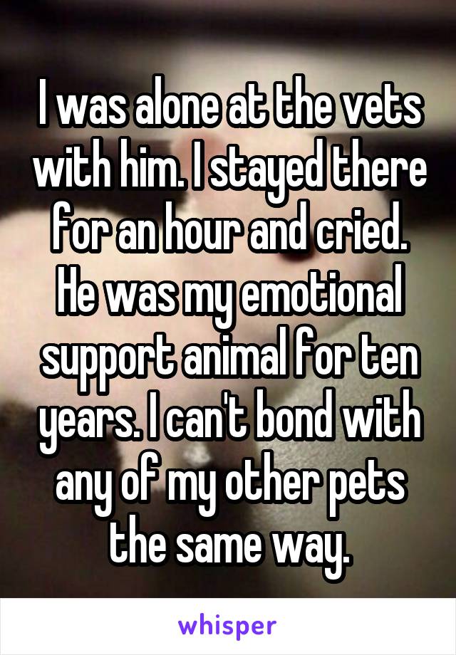 I was alone at the vets with him. I stayed there for an hour and cried. He was my emotional support animal for ten years. I can't bond with any of my other pets the same way.