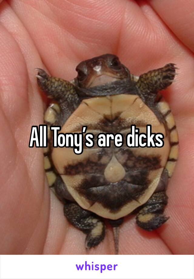 All Tony’s are dicks 