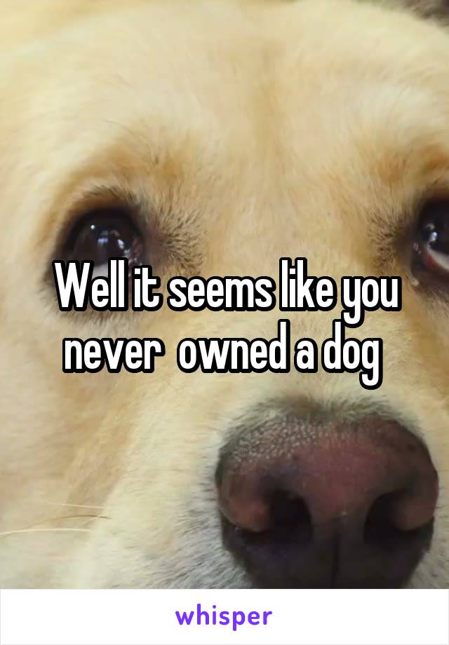 Well it seems like you never  owned a dog 