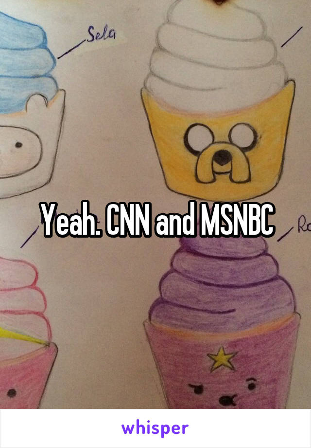 Yeah. CNN and MSNBC