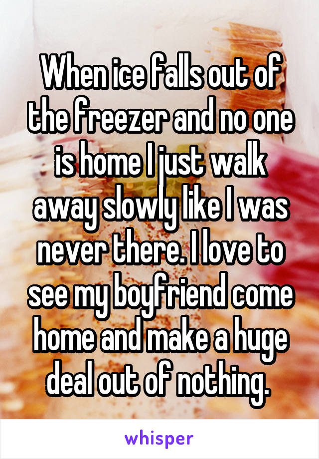 When ice falls out of the freezer and no one is home I just walk away slowly like I was never there. I love to see my boyfriend come home and make a huge deal out of nothing. 