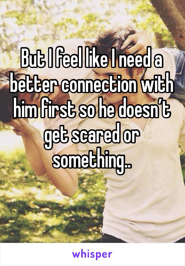 But I feel like I need a better connection with him first so he doesn’t get scared or something..