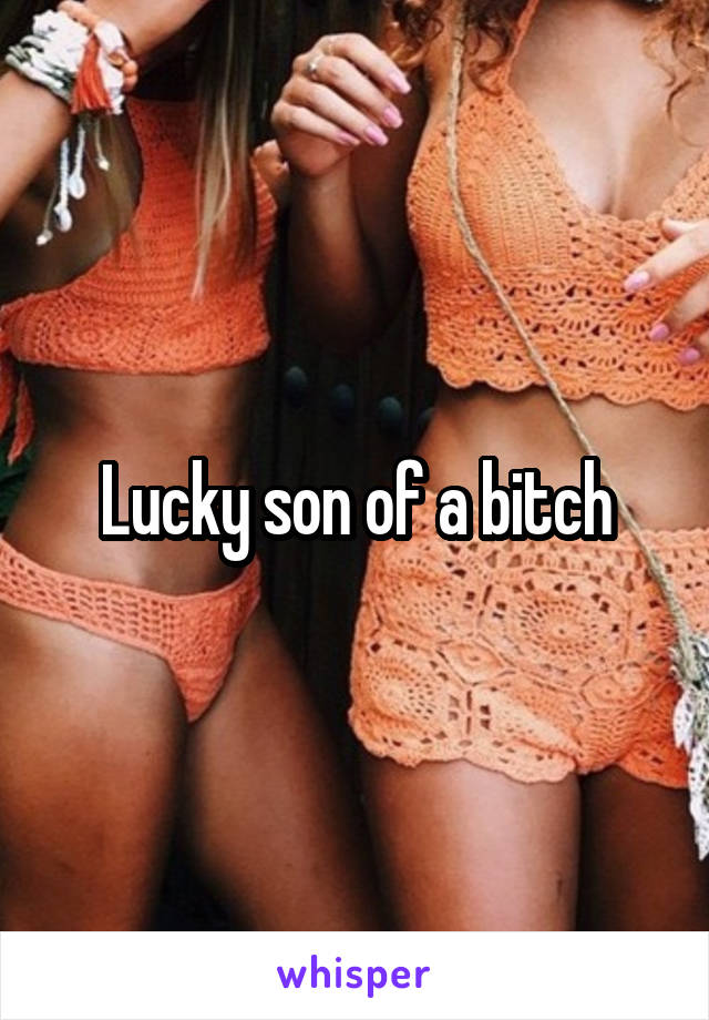 Lucky son of a bitch