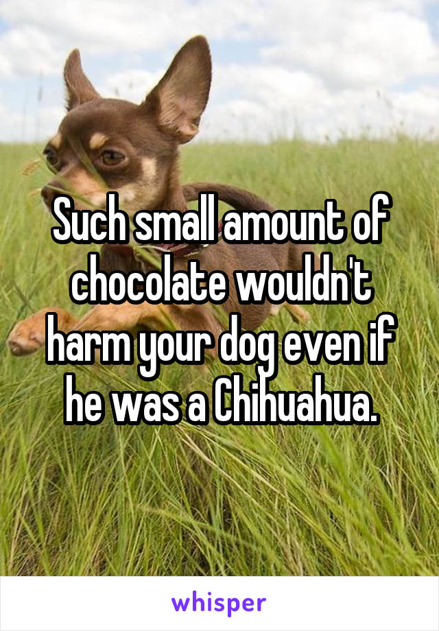 Such small amount of chocolate wouldn't harm your dog even if he was a Chihuahua.