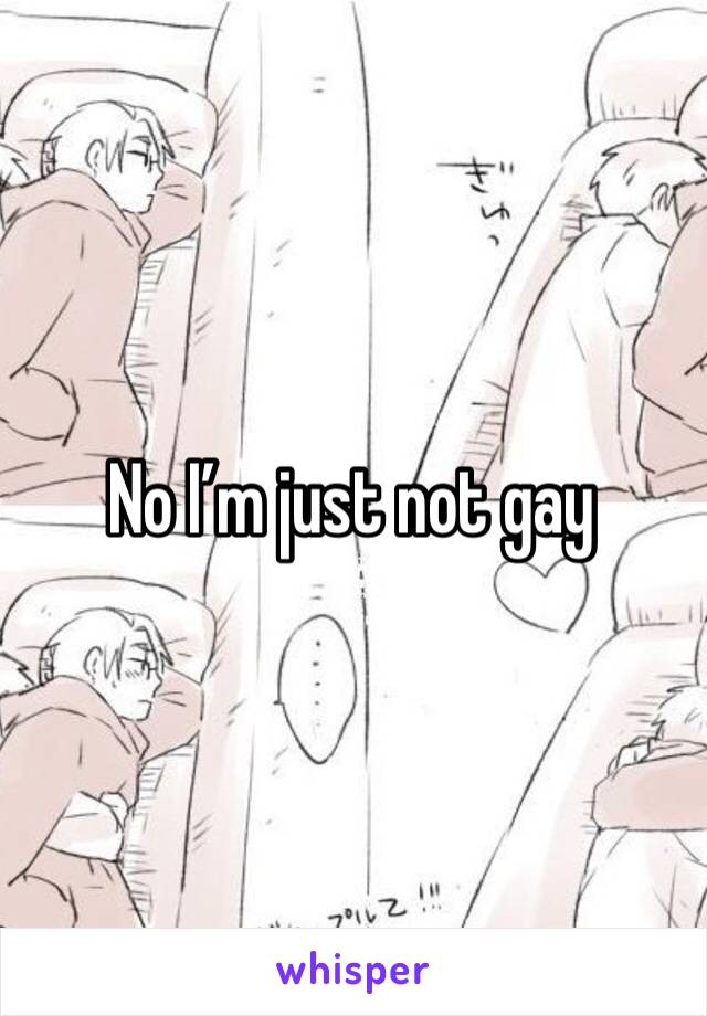No I’m just not gay