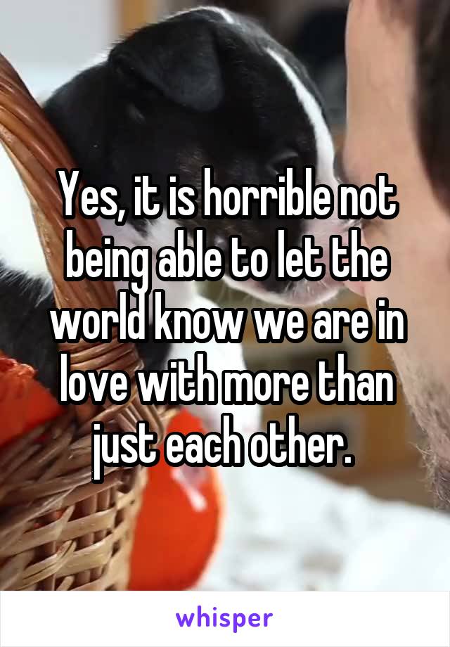 Yes, it is horrible not being able to let the world know we are in love with more than just each other. 