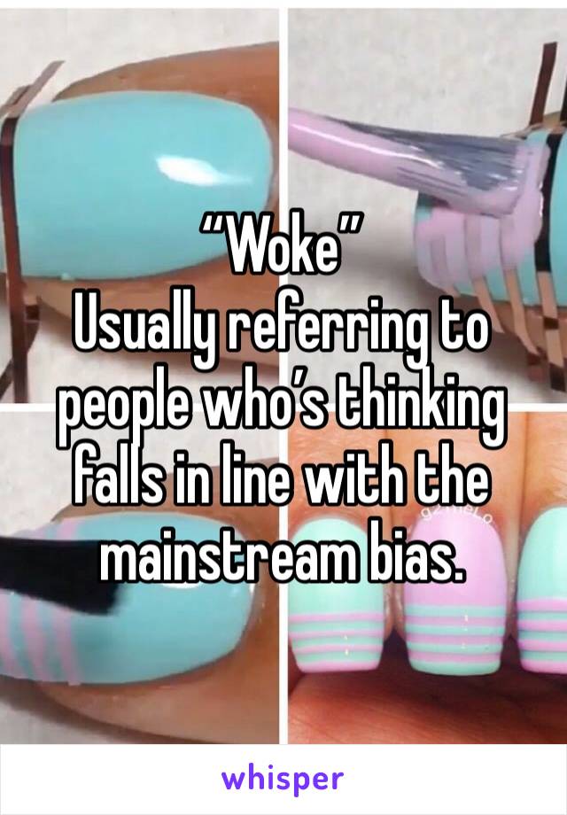 “Woke” 
Usually referring to people who’s thinking falls in line with the mainstream bias. 
