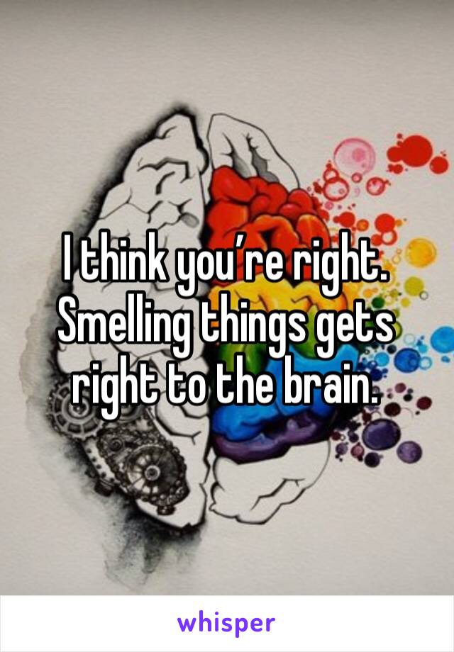 I think you’re right. 
Smelling things gets right to the brain.  