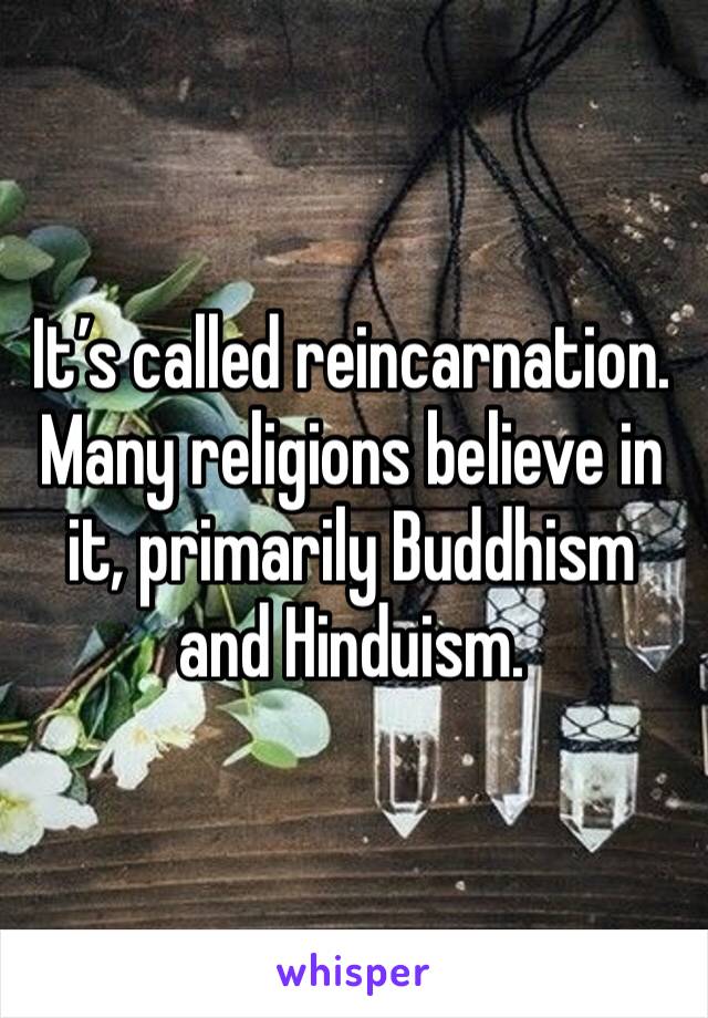 It’s called reincarnation. Many religions believe in it, primarily Buddhism and Hinduism.