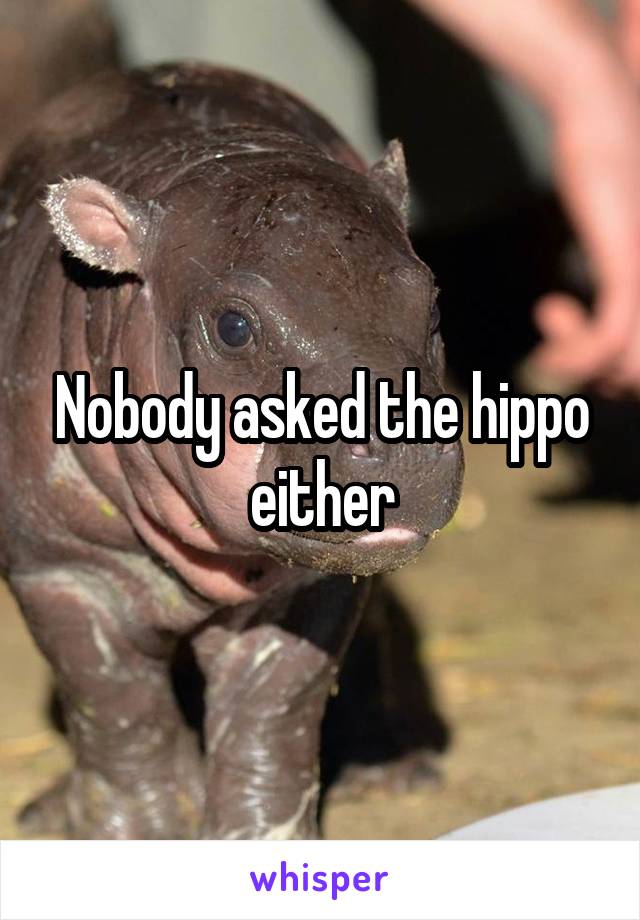 Nobody asked the hippo either