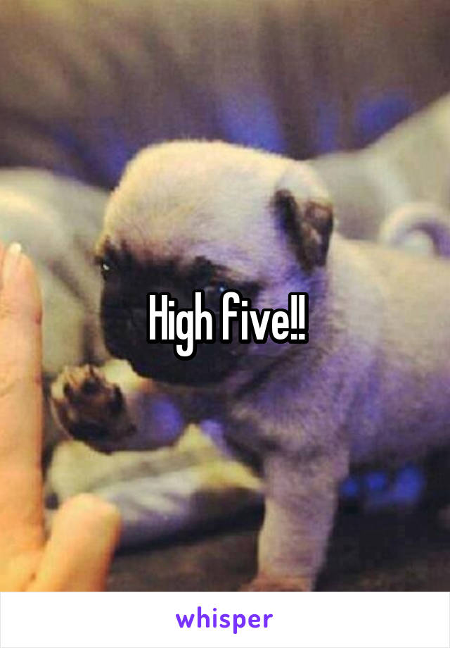 High five!!