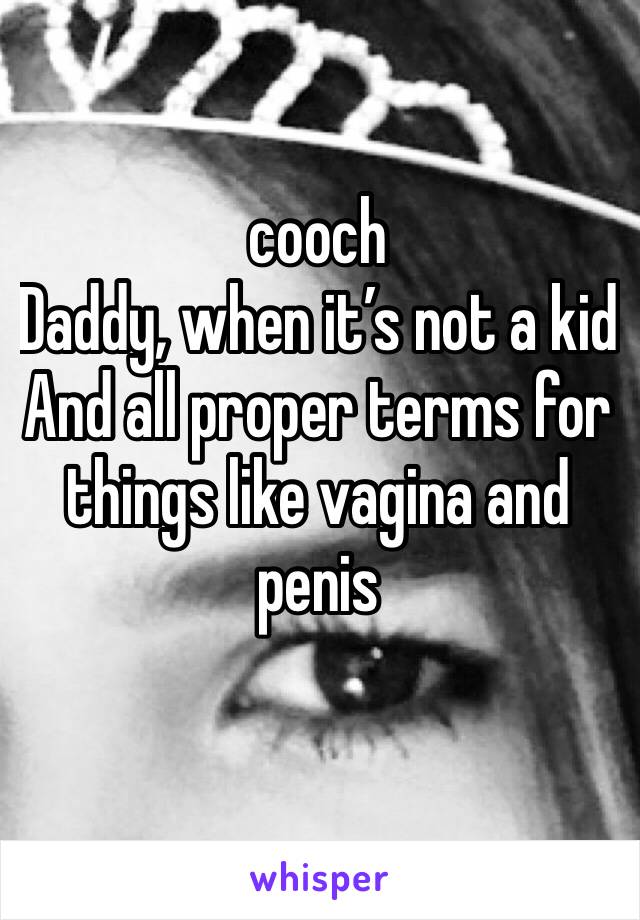 cooch
Daddy, when it’s not a kid
And all proper terms for things like vagina and penis
