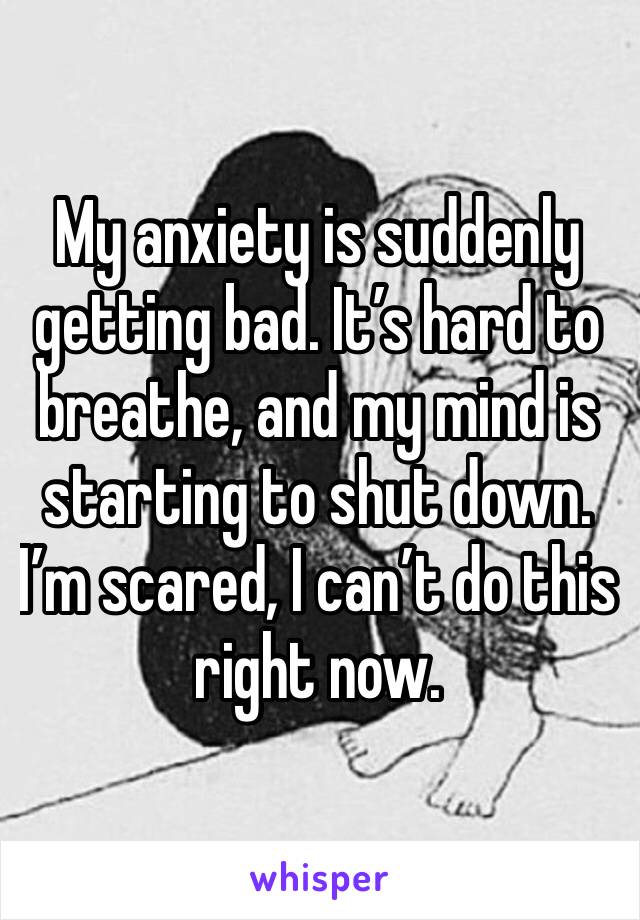 My anxiety is suddenly getting bad. It’s hard to breathe, and my mind is starting to shut down. I’m scared, I can’t do this right now. 