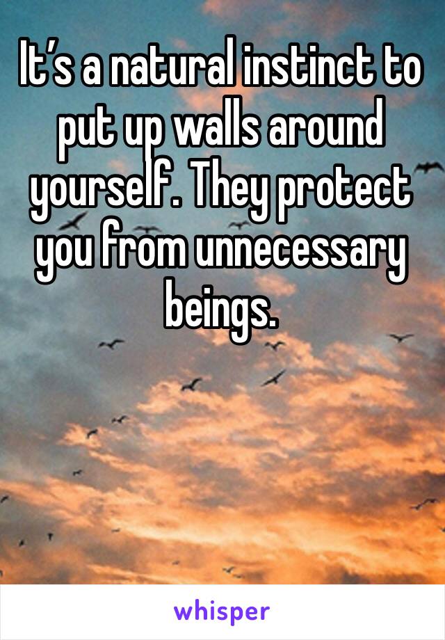 It’s a natural instinct to put up walls around yourself. They protect you from unnecessary beings.