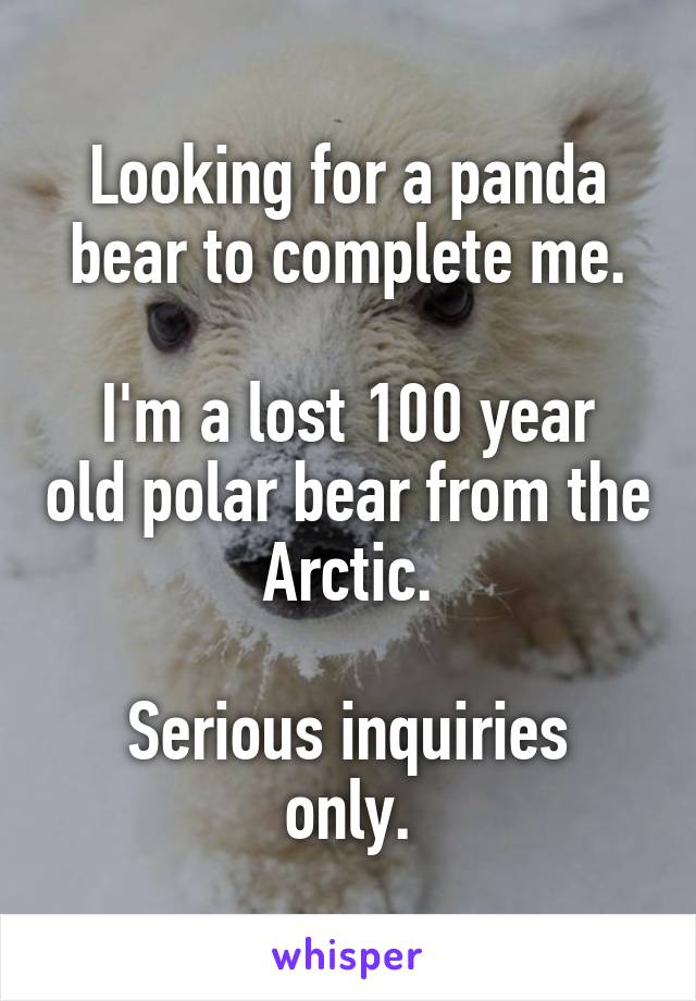 Looking for a panda bear to complete me.

I'm a lost 100 year old polar bear from the Arctic.

Serious inquiries only.