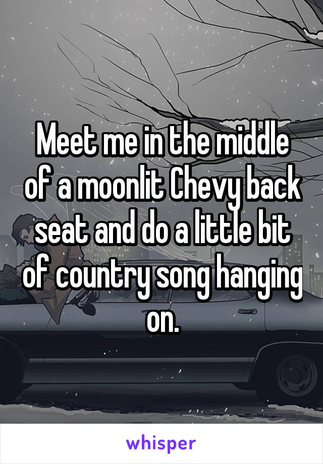Meet me in the middle of a moonlit Chevy back seat and do a little bit of country song hanging on.