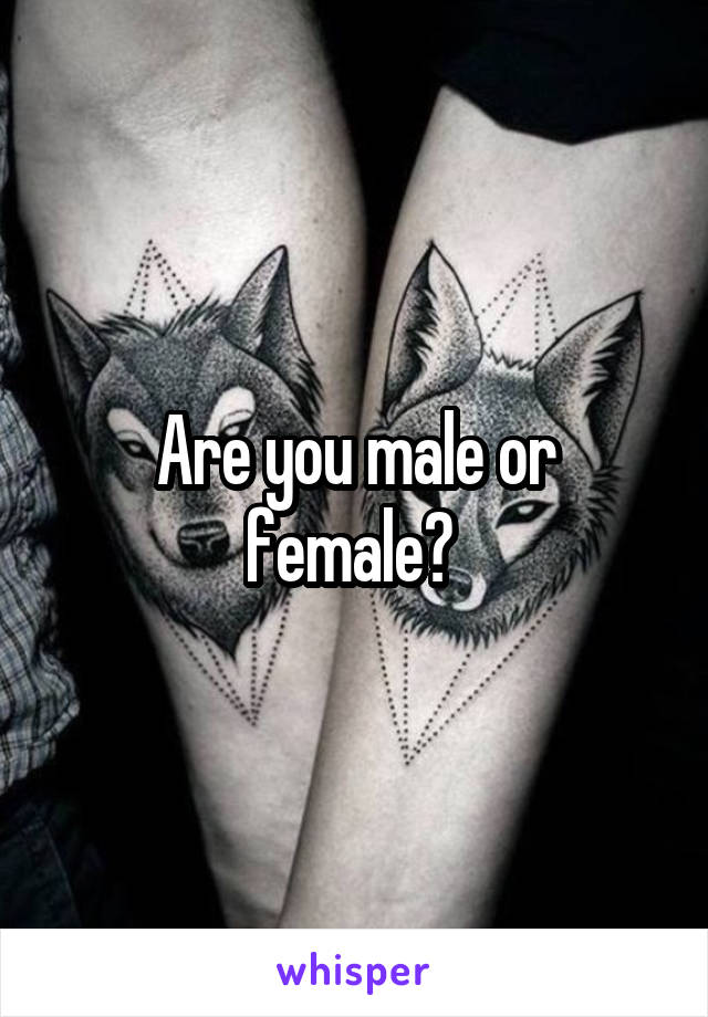 Are you male or female? 