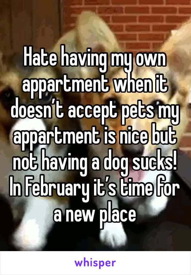 Hate having my own appartment when it doesn’t accept pets my appartment is nice but not having a dog sucks! In February it’s time for a new place