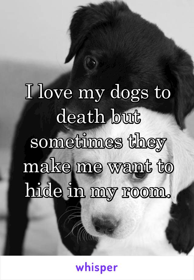 I love my dogs to death but sometimes they make me want to hide in my room.