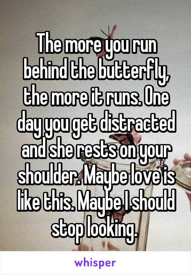 The more you run behind the butterfly, the more it runs. One day you get distracted and she rests on your shoulder. Maybe love is like this. Maybe I should stop looking. 