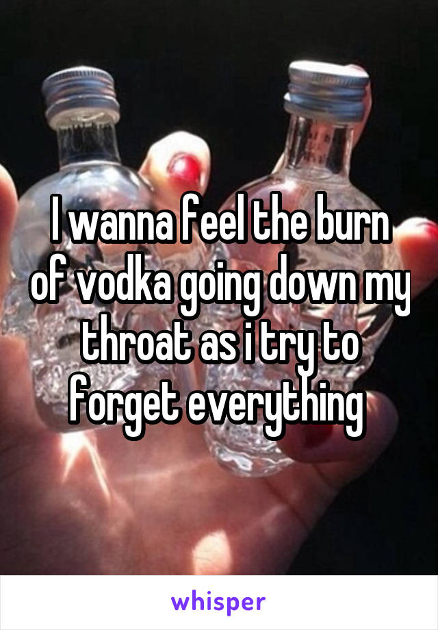 I wanna feel the burn of vodka going down my throat as i try to forget everything 