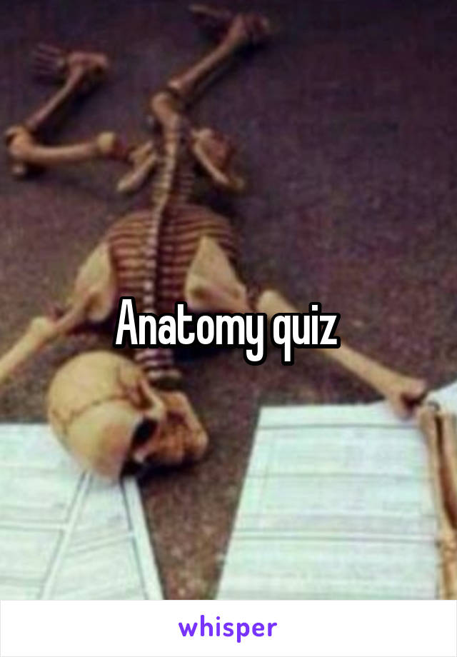 Anatomy quiz 