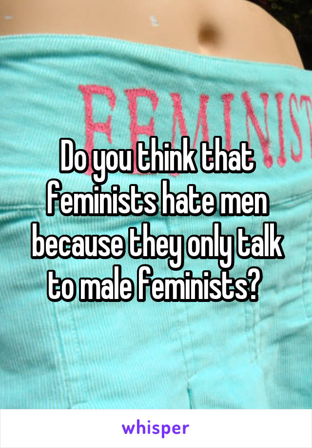 Do you think that feminists hate men because they only talk to male feminists? 